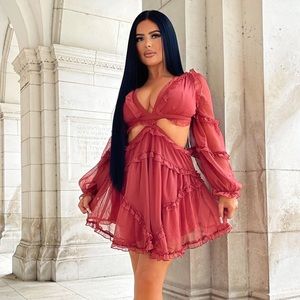 Fashionnova Ruffle mini dress